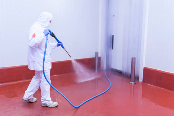 Best Driveway Pressure Washing  in Muscoy, CA